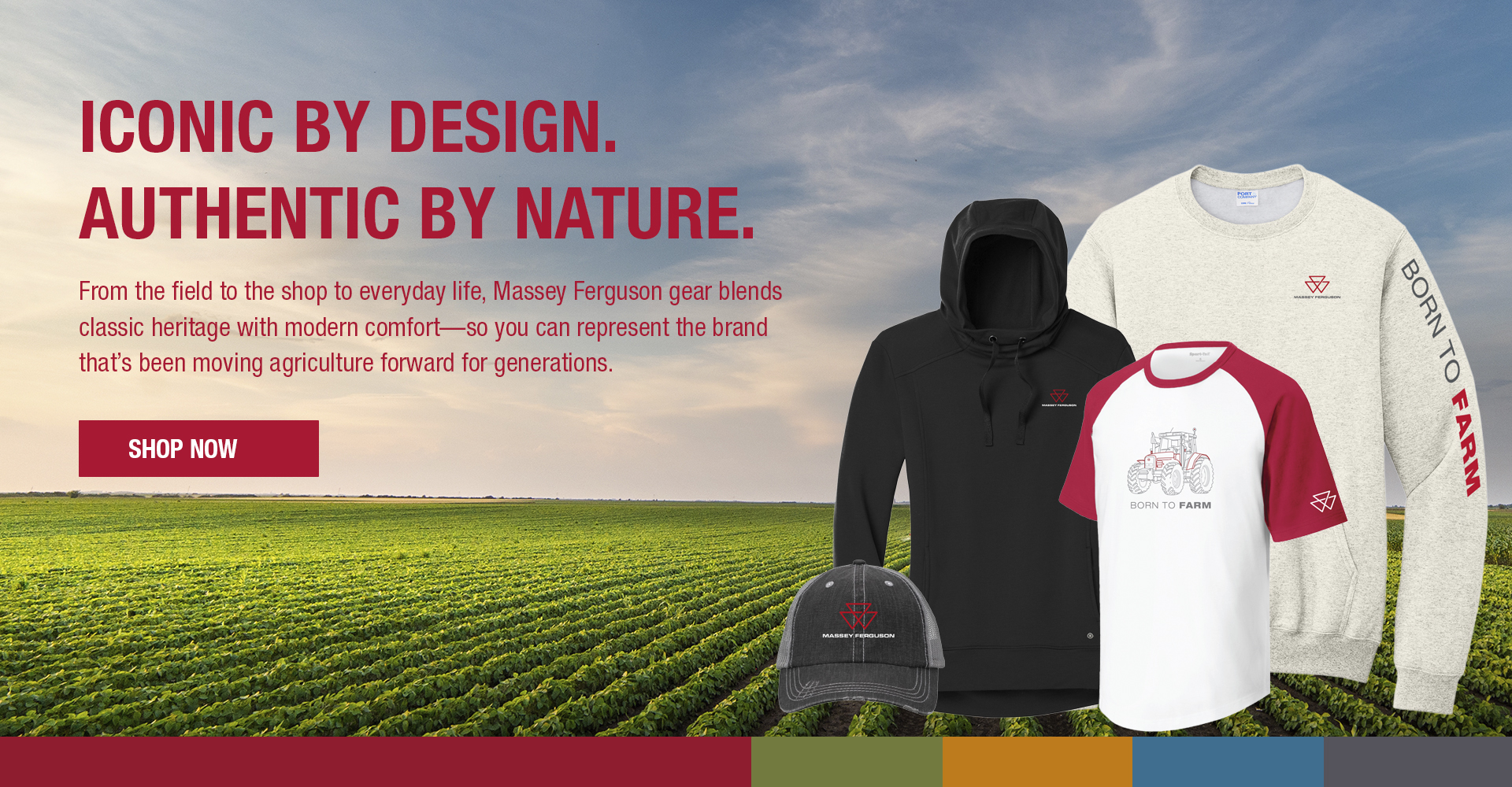 AGCO Dealer Massey banner