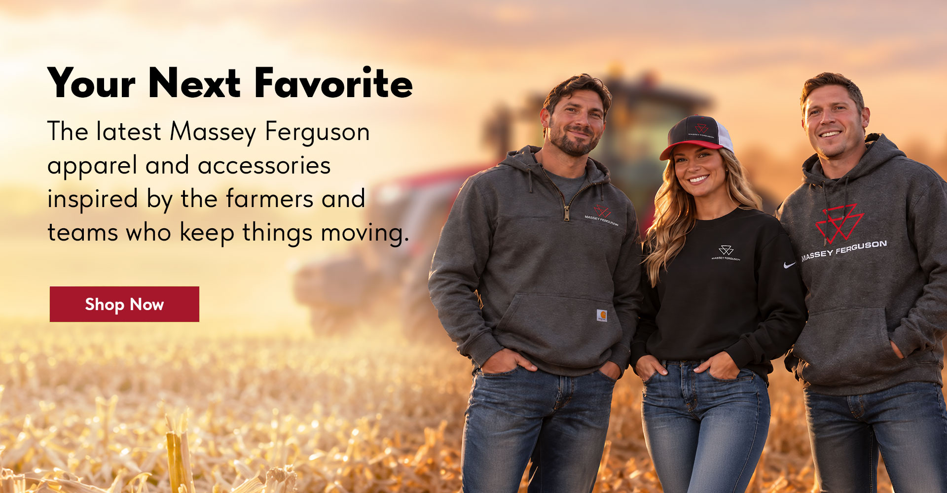 AGCO Dealer Massey banner